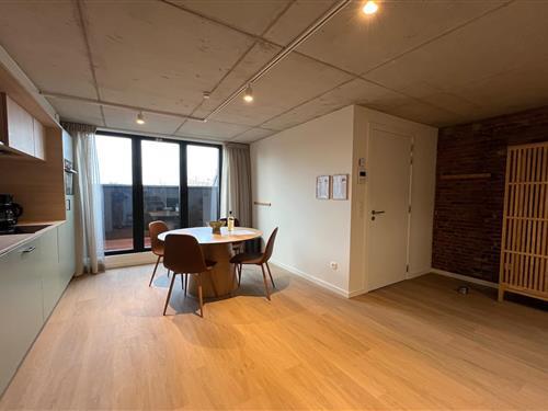 Semesterlägenhet - 4 personer -  - 3960 - Bree