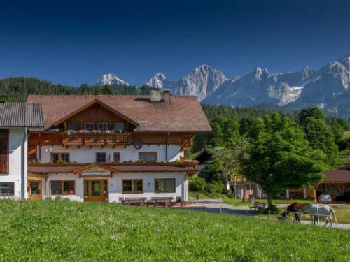 Bauernhof - 3 persons -  - Vorberg - 8973 - Schladming-Vorberg
