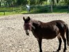 Bild 16