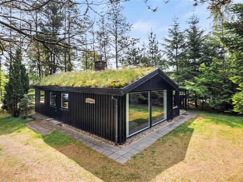 Sommerhus - 6 personer -  - Pugeldal - Houstrup - 6830 - Nr. Nebel