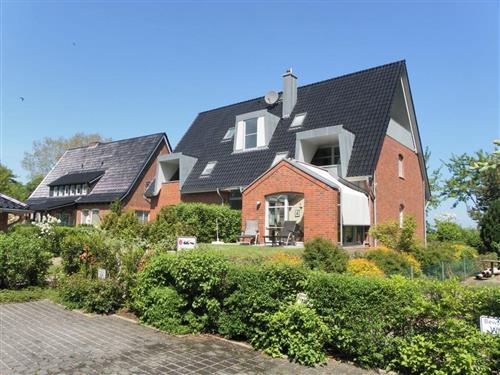 Ferielejlighed - 3 personer -  - Albin- Köbis- Siedlung - 23946 - Boltenhagen