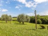 Billede 14