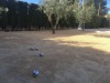 Billede 28