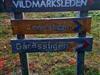 Bild 51