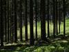 Bild 35