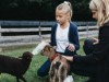 Bild 18
