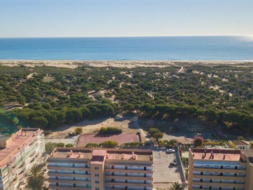 Sommerhus - 4 personer -  - 03140 - La Mata