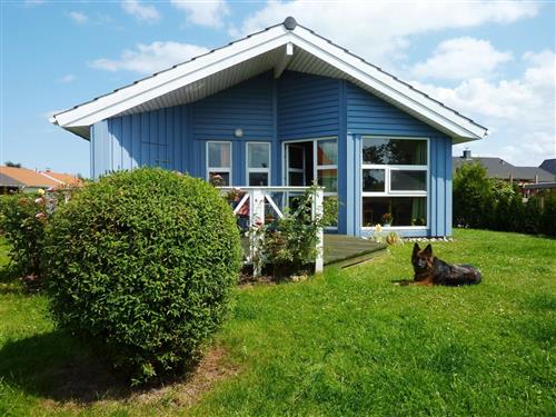 Feriehus - 3 personer -  - Gelting - 24395