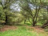 Bild 12 - Ude