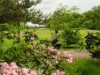 Bilde 4