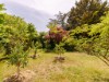 Image 29 - Outside