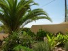 Bilde 7