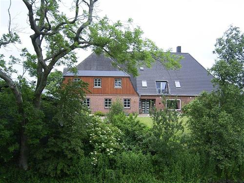 Holiday apartment - 4 persons -  - Marschchaussee - 25882 - Tetenbüll