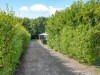 Billede 32 - Grund