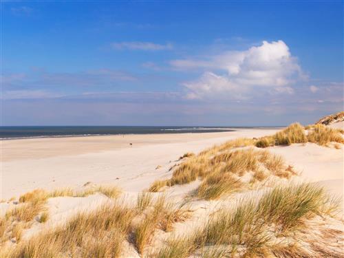 Feriehus / leilighet - 6 personer -  - Van Foreestweg - 1787 PS - Julianadorp Aan Zee