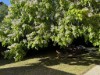 Bilde 3