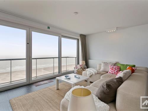 Ferieleilighet - 4 personer -  - 8370 - Blankenberge