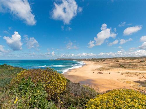 Ferielejlighed - 4 personer -  - Viale Amendola - 09030 - Guspini