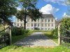 Bild 19