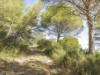 Billede 19