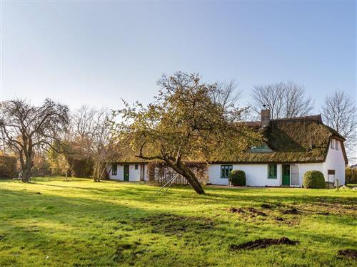 Semesteranläggning - 6 personer -  - Vieregge - 18569 - Neuenkirchen