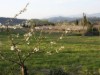 Bilde 27
