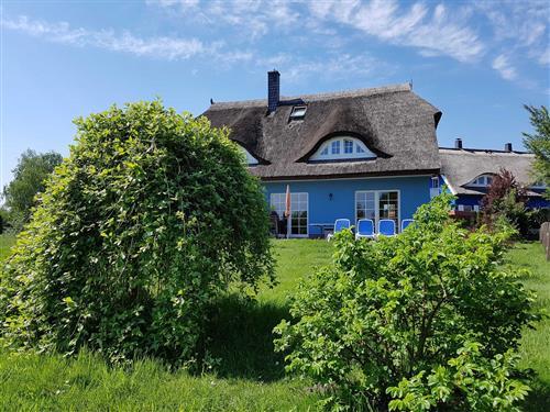 Ferieleilighet - 9 personer -  - Krabbenort 6 b - 18375 - Prerow