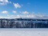 Bild 52