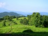 Billede 4
