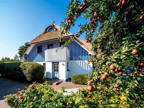 Ferienwohnung - 4 Personen -  - Bliesenrader Weg - 18375 - Wieck A. Darß