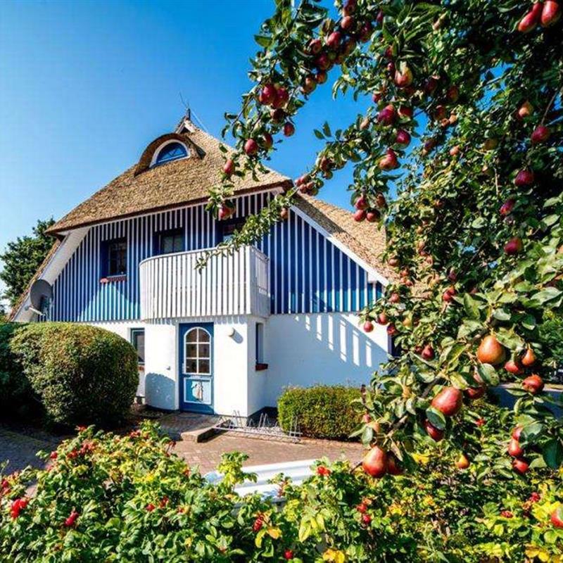 Ferielejlighed - 4 personer -  - Bliesenrader Weg - 18375 - Wieck A. Darß