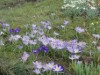 Billede 18