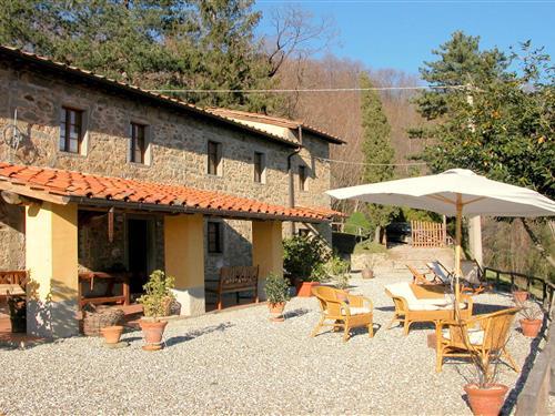 Ferienhaus - 11 Personen -  - 51017 - San Quirico - Pescia