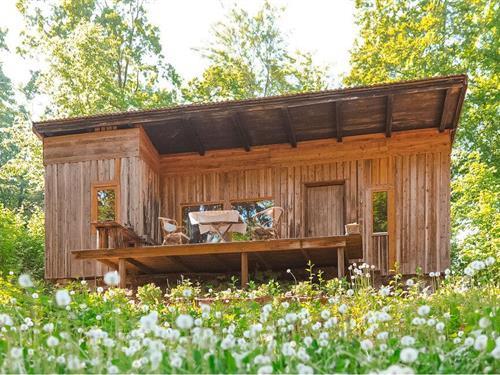 Ferienhaus - 4 Personen -  - Dammhuset - Hässleholm/Vinslöv - 288 90 - Vinslöv