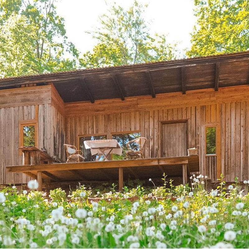 Sommerhus - 4 personer -  - Dammhuset - Hässleholm/Vinslöv - 288 90 - Vinslöv