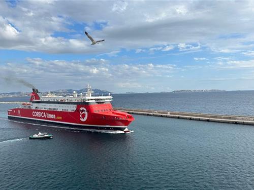 Ferieleilighet - 2 personer -  - 13002 - Marseille