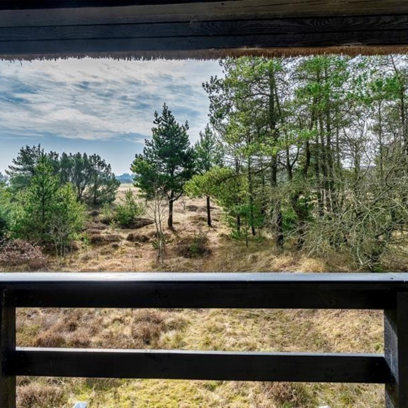 Sommerhus - 6 personer -  - Grævlingevej - Mosevrå - 6840 - Oksbøl