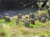 Bild 21 - Utomhus aktiviteter