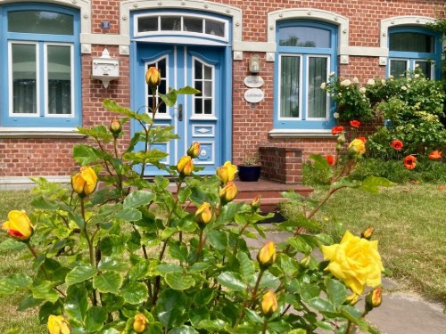 Ferienwohnung - 4 Personen -  - Johann-Möller- Str. - 25980 - Sylt / Westerland