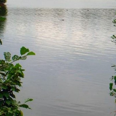 Billede 4