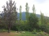 Bilde 7