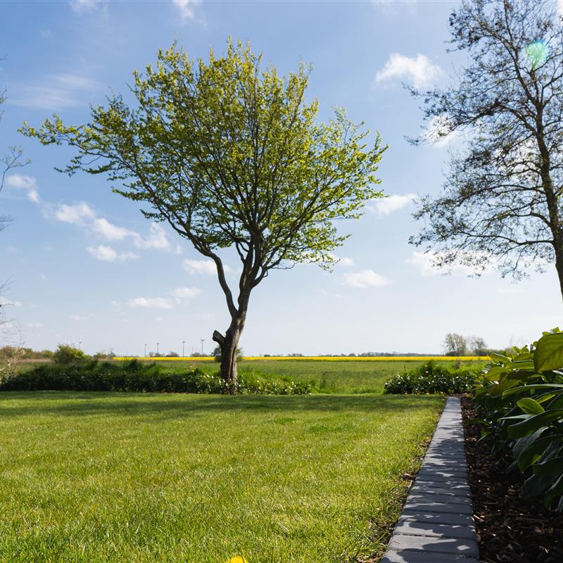 Ferielejlighed - 2 personer -  - Dorfstraße - 25924 - Emmelsbüll-Horsbüll