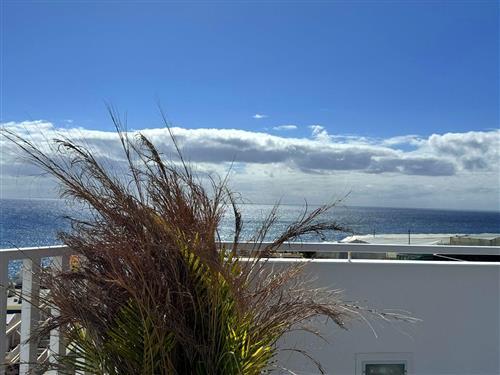 Ferielejlighed - 2 personer -  - Calle los Lajones, Edf. Mirasol I, - 38769 - Puerto De Naos