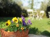 Bild 18 - Aussen