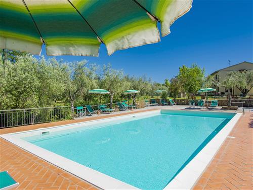 Ferielejlighed - 4 personer -  - Casale Marittimo - 56040