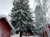 Bild 23