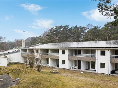 Ferielejlighed - 4 personer -  - Sirenevej 2, st - Dueodde - 3730 - Nexø