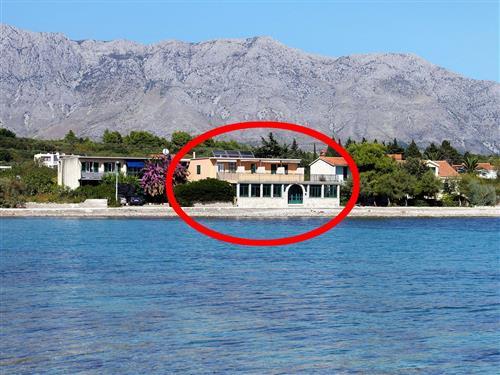 Ferielejlighed - 5 personer -  - Cesminica - 21469 - Sucuraj