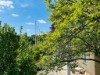 Bild 15