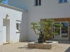 Image 14